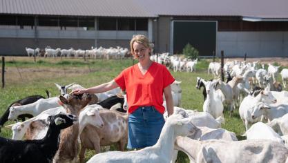 De vraag naar biologische geitenmelk neemt geleidelijk opnieuw toe.
