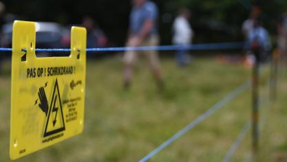 Sinds 1 juli zijn er 210 aanvragen ingediend om wolfwerende omheiningen te plaatsen.
