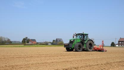 Belgische bietentelers voelen zich speelbal van Europese handelsbelangen.