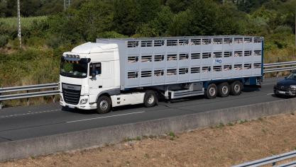 Vlaams minister van Dierenwelzijn Ben Weyts (N-VA)heeft voor het eerstde vergunning van een transportbedrijf voor dieren ingetrokken.