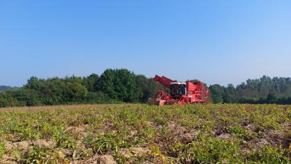 Aardappeltelershebben moeilijke maanden achter de rug en de nabije toekomst ziet er somber uit, stelt de NEPG