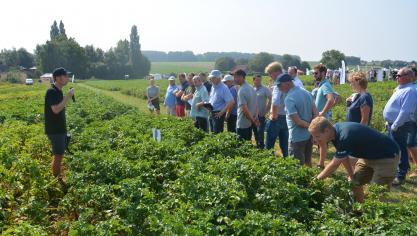 Stany Vandermoere (Viaverda) lichtte de gevoeligheid van enkele rassen rond de aardappelziektebestrijding toe.