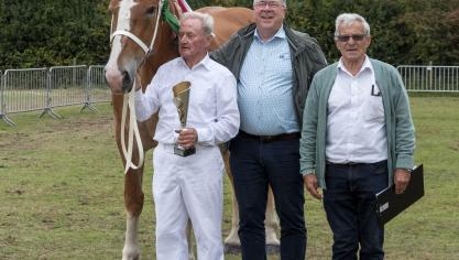 Sully Van Belle, met als eigenaar Bernard Van Renterghem, werd voor de tiende keer dagkampioene bij de merries van het Vlaams paard.