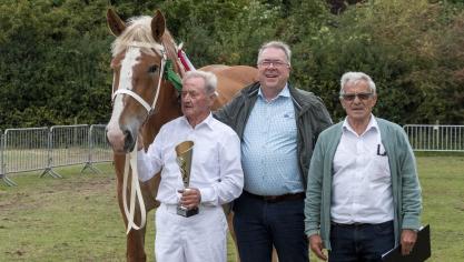 Sully Van Belle, met als eigenaar Bernard Van Renterghem, werd voor de tiende keer dagkampioene bij de merries van het Vlaams paard.