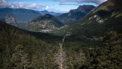 De Europese natuur blijft lijden onder achteruitgang, overexploitatie en verlies van biodiversiteit, aldus het Europees Milieuagentschap.
