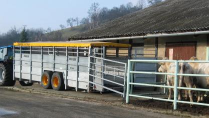 Diertransport naar landen waar blauwtong serotype 8 nog niet heeft toegeslagen wordt moeilijker nu België zijn ziektevrije status heeft verloren.