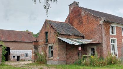 Vorig jaar waren er 926 stoppende en 675 startende landbouwbedrijven in het Vlaamse en Brusselse Gewest.