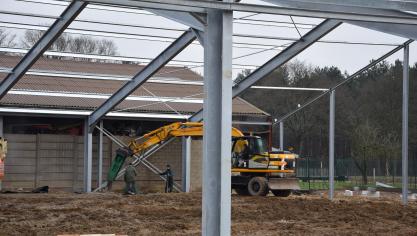 De expertencommissie stelt voor te snoeien in het woud aan regels dat rond aanvragen is gegroeid en de beroepsprocedures in te korten.