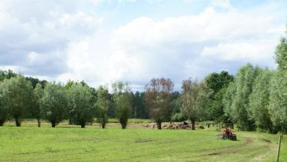 De Vlaamse Regering heeft enkele versoepelingen goedgekeurd voor de nulbemestingsregeling in de Speciale Beschermingszones van de Habitatrichtlijn (SBZ-H).