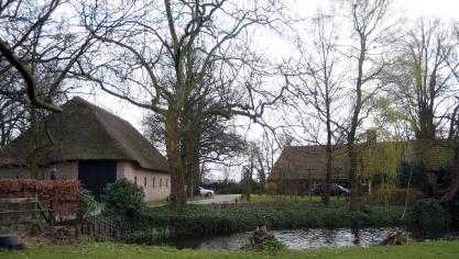 Hoevesites die op het platteland bewaard zijn gebleven werden gaandeweg als cultuurhistorisch waardevolle elementen erkend.