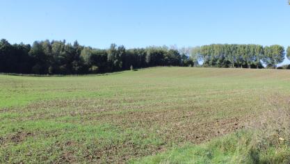 Het verlies aan landbouwgrond door zonevreemde functiewijzigingen sinds 2019 kan worden geschat op ten minste 990 ha.