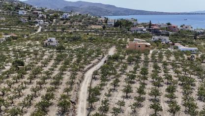 Het Griekse netwerk zou onder meer frauduleus landbouwgronden die hun eigendom niet waren aangegeven hebben, om Europese subsidies te krijgen.