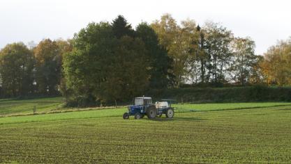 De beste resultaten krijg je steeds op velden waarop je tijdig kan behandelen.