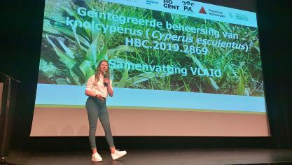 Shana Clercx ontkrachtte enkele fabels omtrent knolcyperus.