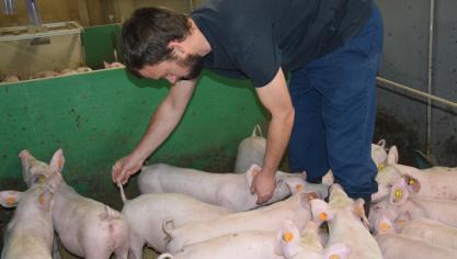 Thomas Martens toont hoe de proef met lange staarten verloopt.