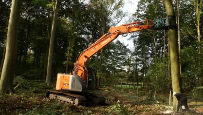 Ons land is het niet eens met de vraag van landbouwministers van 17 Europese lidstaten die pleitten voor uitstel en versoepeling van de Europese ontbossingsverordening.