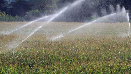 Irrigatielandbouw heeft volgens onderzoekers van de VUB een negatieve impact op hittestress en waterschaarste.
