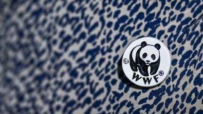 Extreme weersomstandigheden veroorzaakt door het veranderende klimaat ondermijnen de verzekeringsmarkt, zegt WWF.