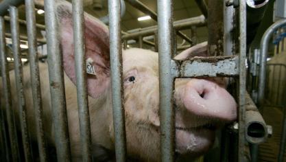 De strijd tegen antimicrobiële resistentie loont, maar is jammer genoeg nog lang niet gestreden.