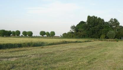 Het Vlaams Pachtdecreet voorziet sowieso in de verplichting voor de nieuwe eigenaar om de bestaande pachtovereenkomst te respecteren, aangezien deze nieuwe eigenaar door de aankoop in de rechten en verplichtingen van de verpachter treedt.
