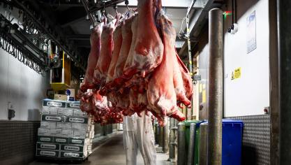 China heft meer dan 60% heffingen op de invoer van Belgisch varkensvlees.