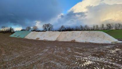 Het Bieteninstituut raadt aan om nu sowieso bietenhopen af te dekken.
