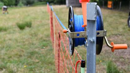 De provincie Limburg stopt met de subsidies voor het team dat veehouders helpt zich te beschermen tegen wolven.