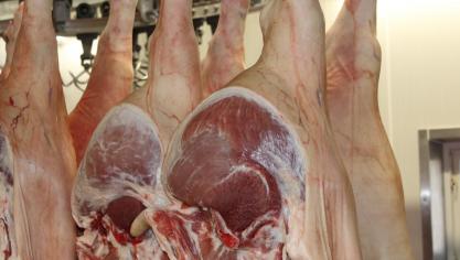 De mogelijkheid voor hoeveslagers om een erkenning tot uitsnijderij te verkrijgen, is volgens minister Brouns  de meest duurzame manier om dit korteketenbusinessmodel toekomstbestendig te kunnen maken.