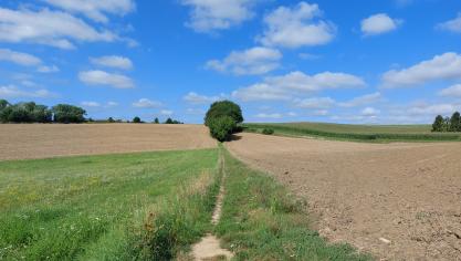 In België ontstaan erfdienstbaarheden tussen eigendommen meestal door menselijk handelen.
