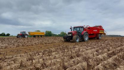 De NEPG raadt aardappeltelers aan om hun areaal voor 2026 kritisch te bekijken.