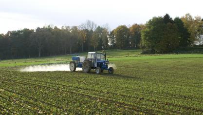 De Raad van State vernietigde de vergunning om de middelen op basis van abamectine tot 2039 in te zetten in open lucht en onder tunnels.