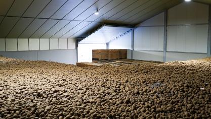 Sectororganisatie Belgapom meldt op 28 november een notering van 15 euro/ton (zonder btw) voor het aardappelras Fontane.