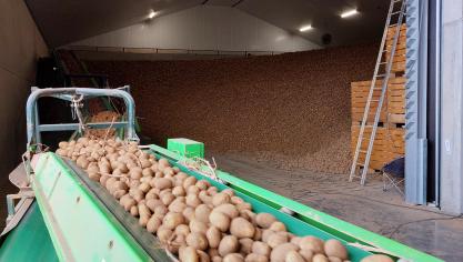 De Belgapomnotering wijzigde niet op 5 december.