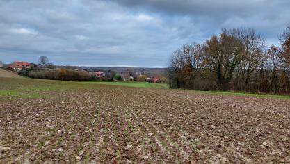 Een enquête peilt naar de werkelijke resultaten en naar de knelpunten en verbetervoorstellen voor de verschillende ecomaatregelen.