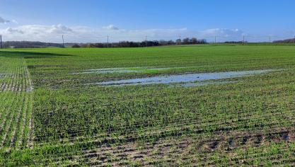 De afgelopen maand november was wereldwijd de derde warmste novembermaand ooit opgetekend.