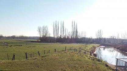 Het demoproject ‘Slim-Buf’ wil landbouwers concrete en werkbare handvatengeven om bufferstroken doeltreffend aan te leggen en te beheren.