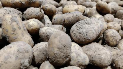 De Belgapomnotering wijzigde niet op 12 december.