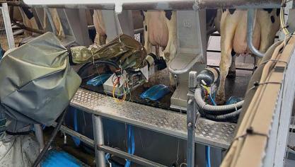 Door samen te werken brengen BouMatic en Green Source Automation verdere automatisering naar draaimelkstalsystemen.