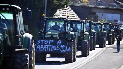 Met wegblokkades protesteren Franse rundveehouders tegen het ruimen van bedrijven door nodulaire dermatose.