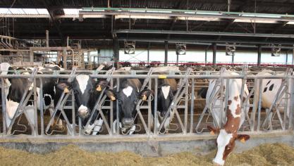 Deheffingen die China oplegt voor zuivelproducten uit de Europese Unie, komen neer op een invoerban.