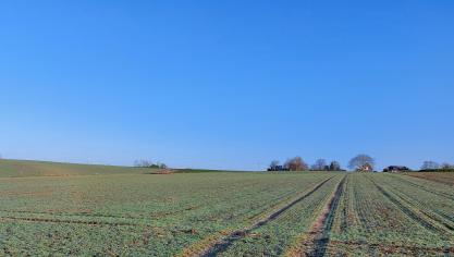 De luchtkwaliteit in ons land is het afgelopen jaar licht achteruitgegaan ten opzichte van 2024.