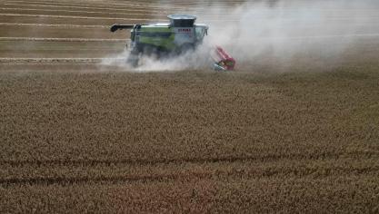 2025 was samen met 2014 het vierde warmste jaar sinds het begin van de waarnemingen.