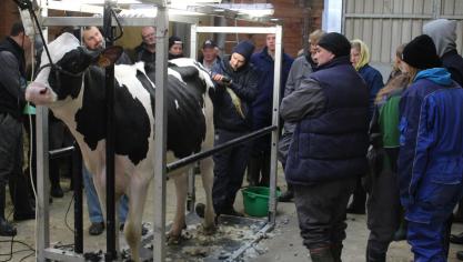 Om de leerlingen optimaal voor te bereiden, wordt de kunst van het clippen en showen toegelicht tijdens instructielessen.