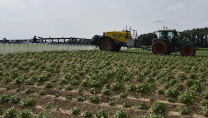 Europa verbiedt almaar meer werkzame stoffen, waardoor het middelenpakket voor telers steeds verder krimpt.