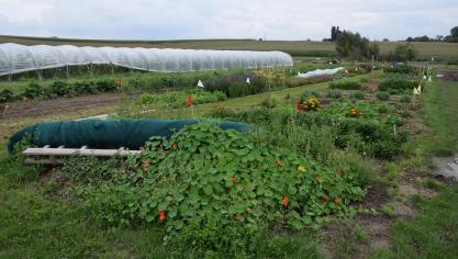 Hoop wortelt in agro-ecologie, zegt Wervel.
