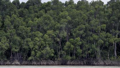 De milieuorganisatie vreest voor het Amazonewoud en kleine boerderijen in Europa en de Mercosur-landen.