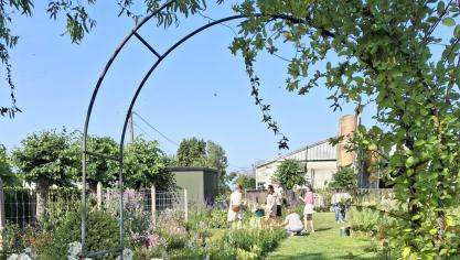 Dankzij VLIF-steun groeide bijvoorbeeld de zelfpluktuin in Ruddervoorde.