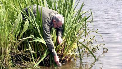Onderzoekers hebben analyses uitgevoerd en stalen genomen op 80 meetpunten in de Maas om zo de bron van de vervuiling op het spoor te komen.