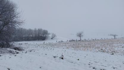 Wie het initiatief neemt om bij de rechtbank het op schrift stellen van de pachtovereenkomst te eisen, moet het bewijs leveren van het bestaan ervan.