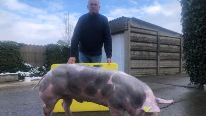 Marc Peters uit Millen, trotse winnaar van de Gouden Piétrain Award 2025.